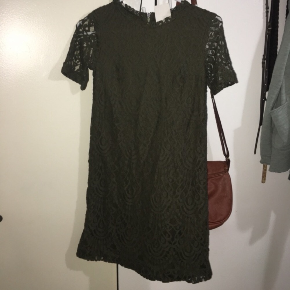Olive Lace Shift Dress